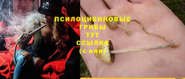амф Верея