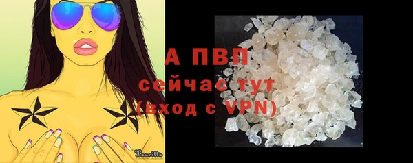 крисы Вязьма