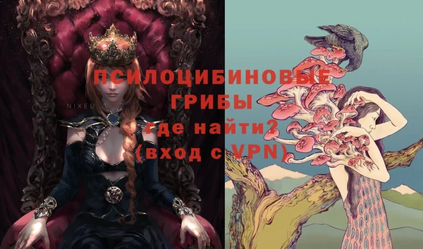 крисы Вязьма