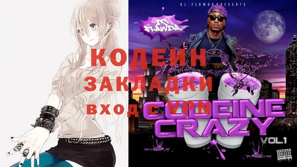 крисы Вязьма