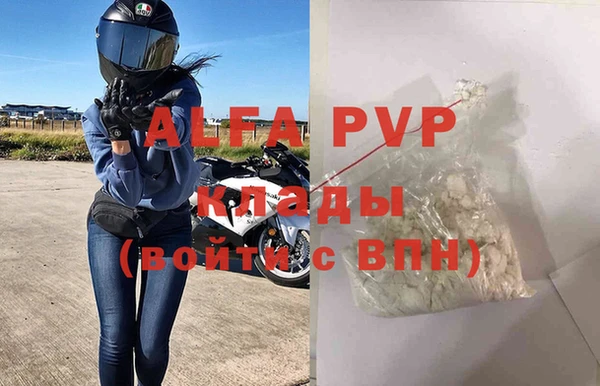 крисы Вязьма