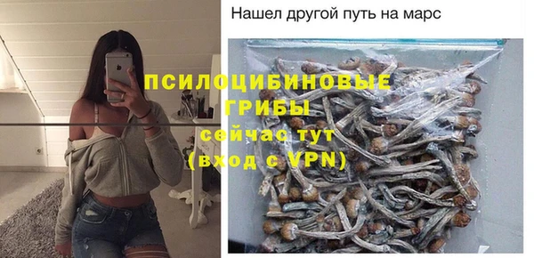 героин Вяземский