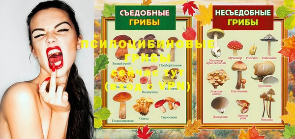 героин Вяземский