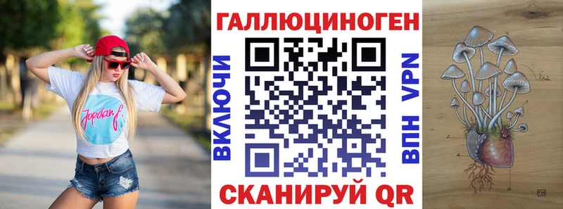 даркнет наркотические препараты  Королёв  Галлюциногенные грибы MAGIC MUSHROOMS 