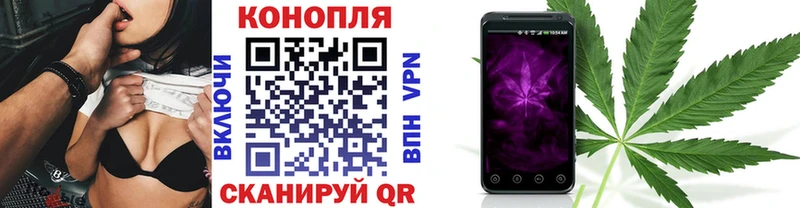 Конопля семена  KRAKEN зеркало  Королёв 